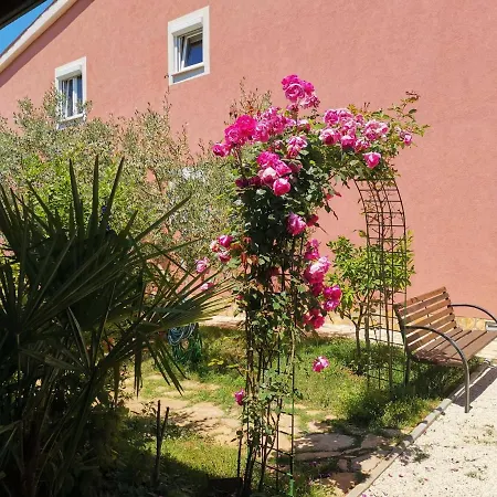 Apartment Babic Fazana