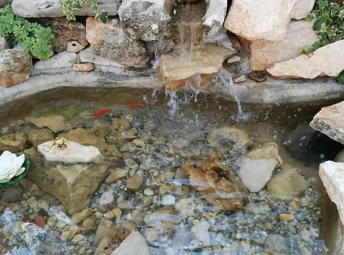 Babic Апартаменты