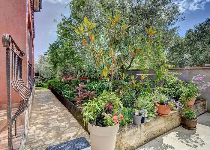 Babic * Фажана